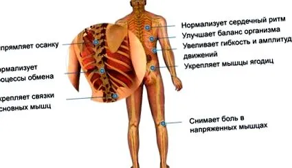 заболявания ставни