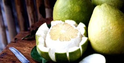 diéta