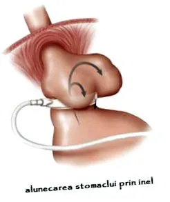 életmód