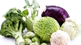 vegán
