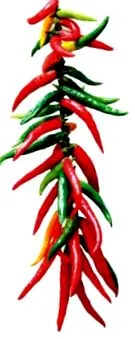 chili onnan