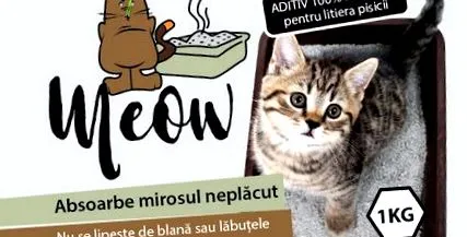 alom macskatulajdonos