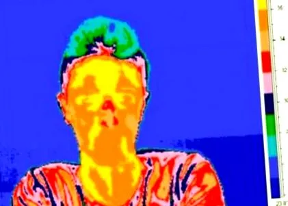 mutatja tanulmány