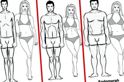 ectomorf ectomorf
