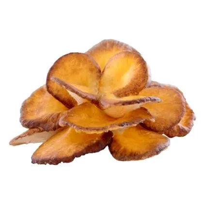 maitake
