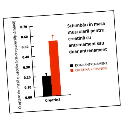 суштински