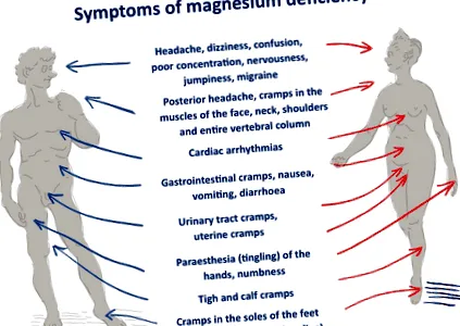 olyan olyan