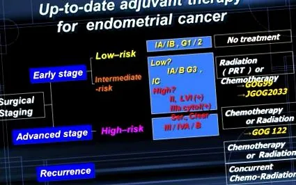 endometrium