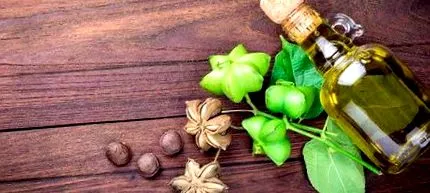 elixir