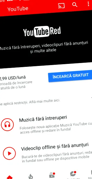 бухничи youtube