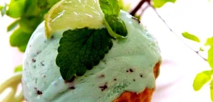stevia hogyan