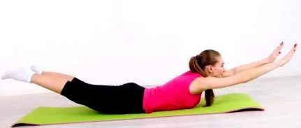 chrbát