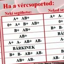 prezentarea prezentarea