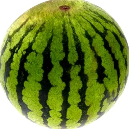 пъпешът