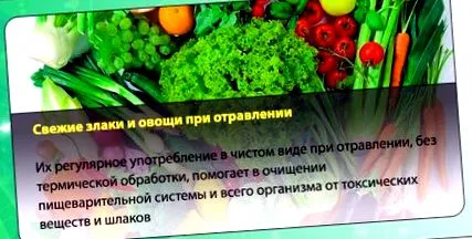 котешка opisthorchis
