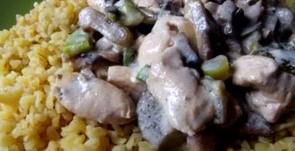 stroganoff style