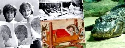 колегите това