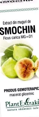 kivonat kivonat