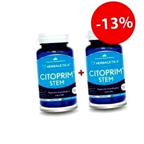 ganoderma