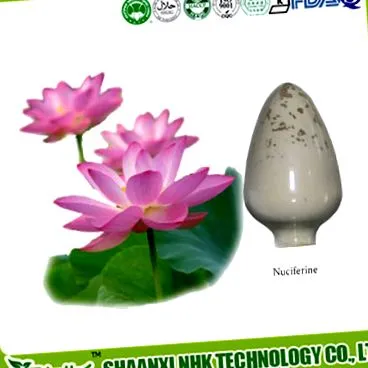 lotus