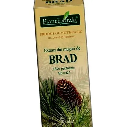 kéreg