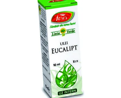 eukaliptusz illóolaj