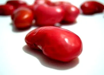 egészség