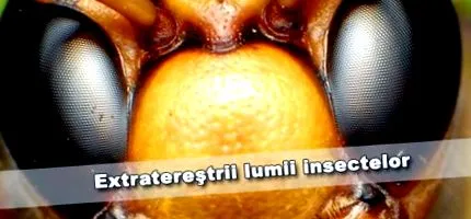 светот вонземјаните