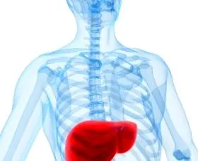 hepatomegalia okai