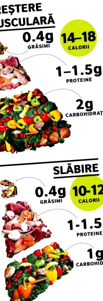 fit4pro