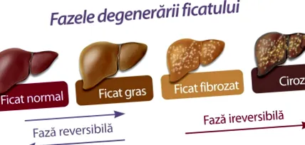pečeň pečeň