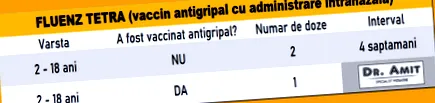 nélküli