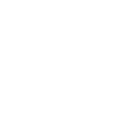 gyomor