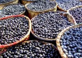acai acai bogyók