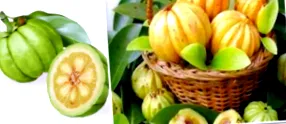 Garcinia Cambogia