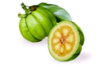 garcinia cambogia