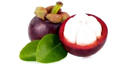 500mg garcinia