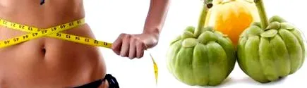 500mg cambogia