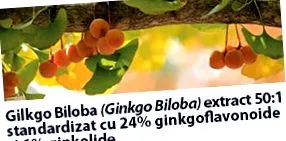ginkgo