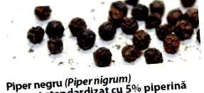 curcumin95