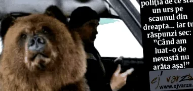 Сумки схуднення