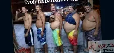 сумки