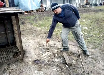 gilău