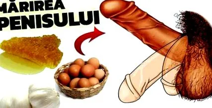 útmutató