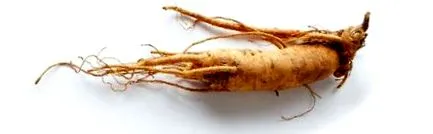 ginzeng fizetési