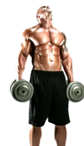 Optimum Nutrition
