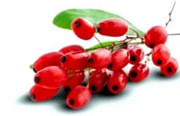 goji