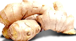 tisztítás