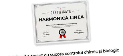 harmonica