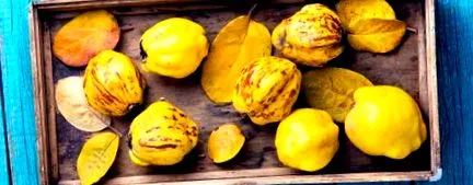 birsalma